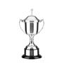 Silver Plated Golf Trophy thumbnail